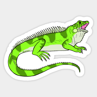 Iguana Sticker